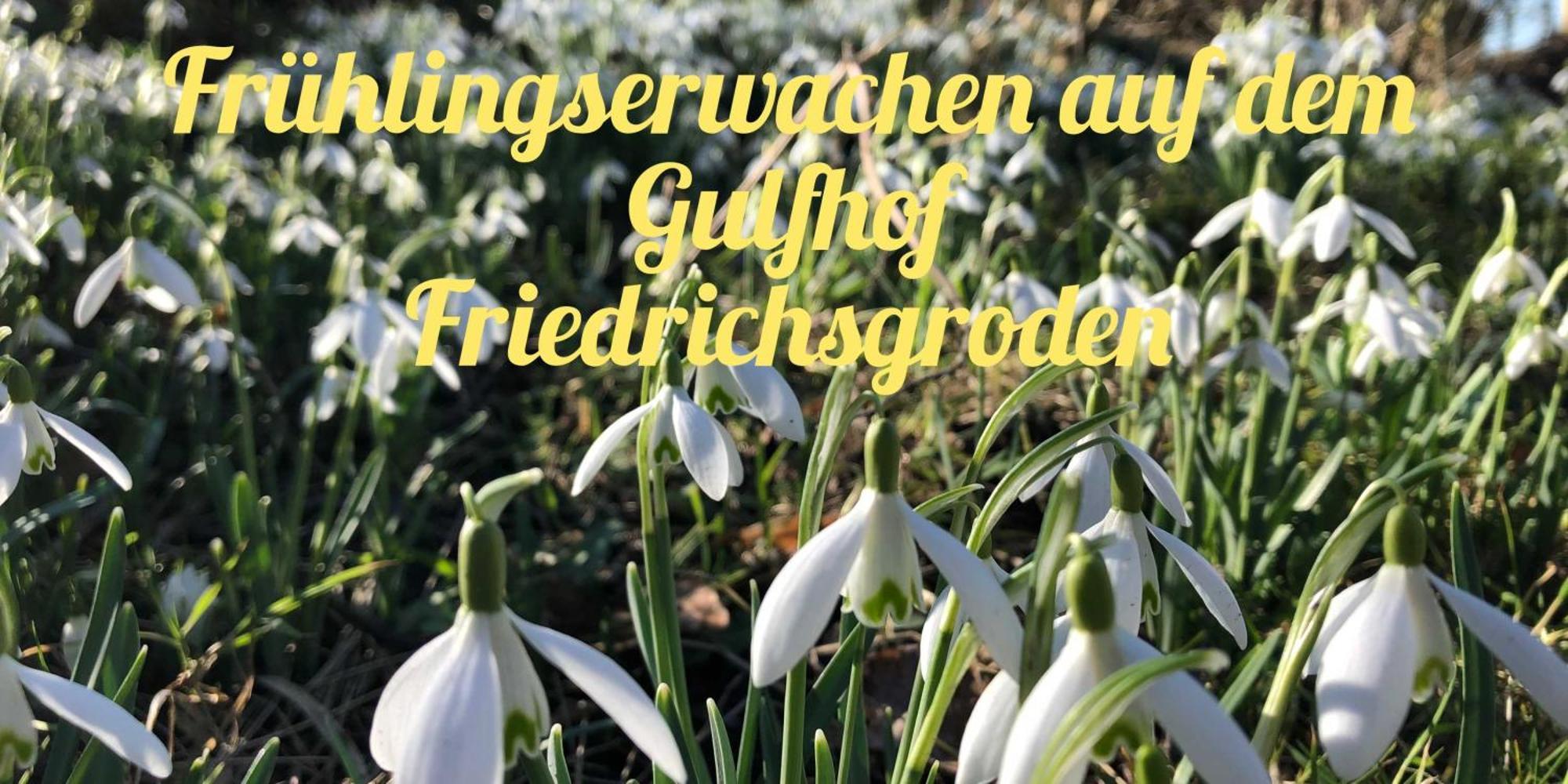 Gulfhof Friedrichsgroden Villa Каролинензил Екстериор снимка