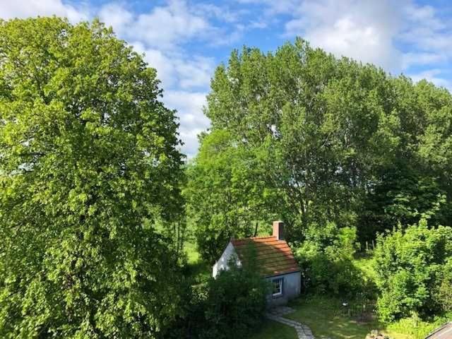 Gulfhof Friedrichsgroden Villa Каролинензил Екстериор снимка